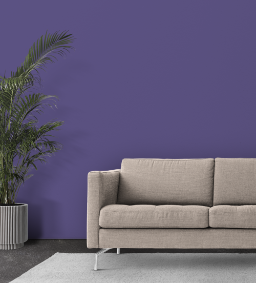 Violet Prune