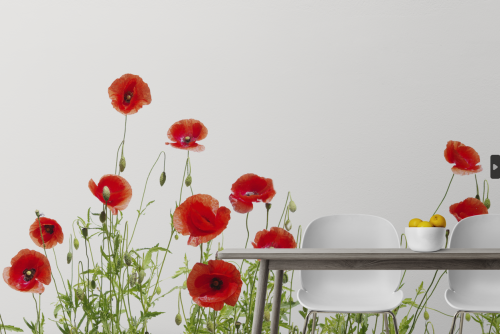 Coquelicots Rouges