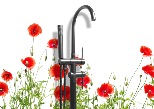 Coquelicots Rouges