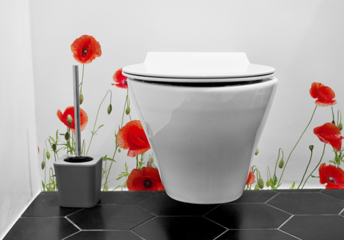 Coquelicots Rouges