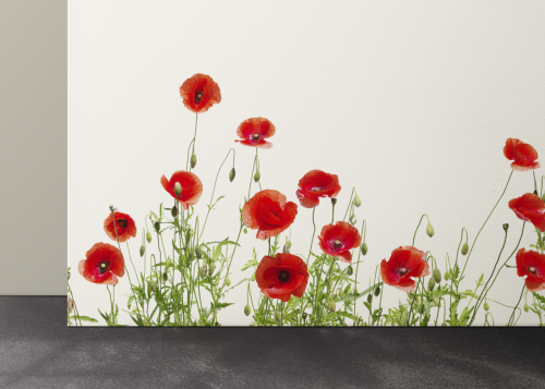 Coquelicots Rouges