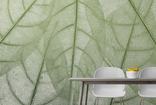 Feuilles Macro