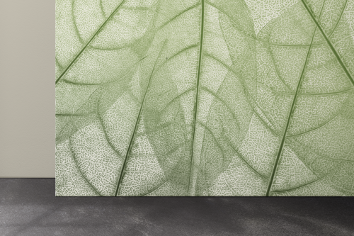 Feuilles Macro