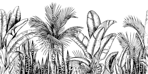 Palmiers Tropicaux et Feuilles de Bananiers
