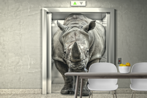 Rhinocéros dans l'ascenseur