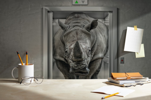 Rhinocéros dans l'ascenseur