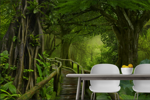 Passage dans la Jungle